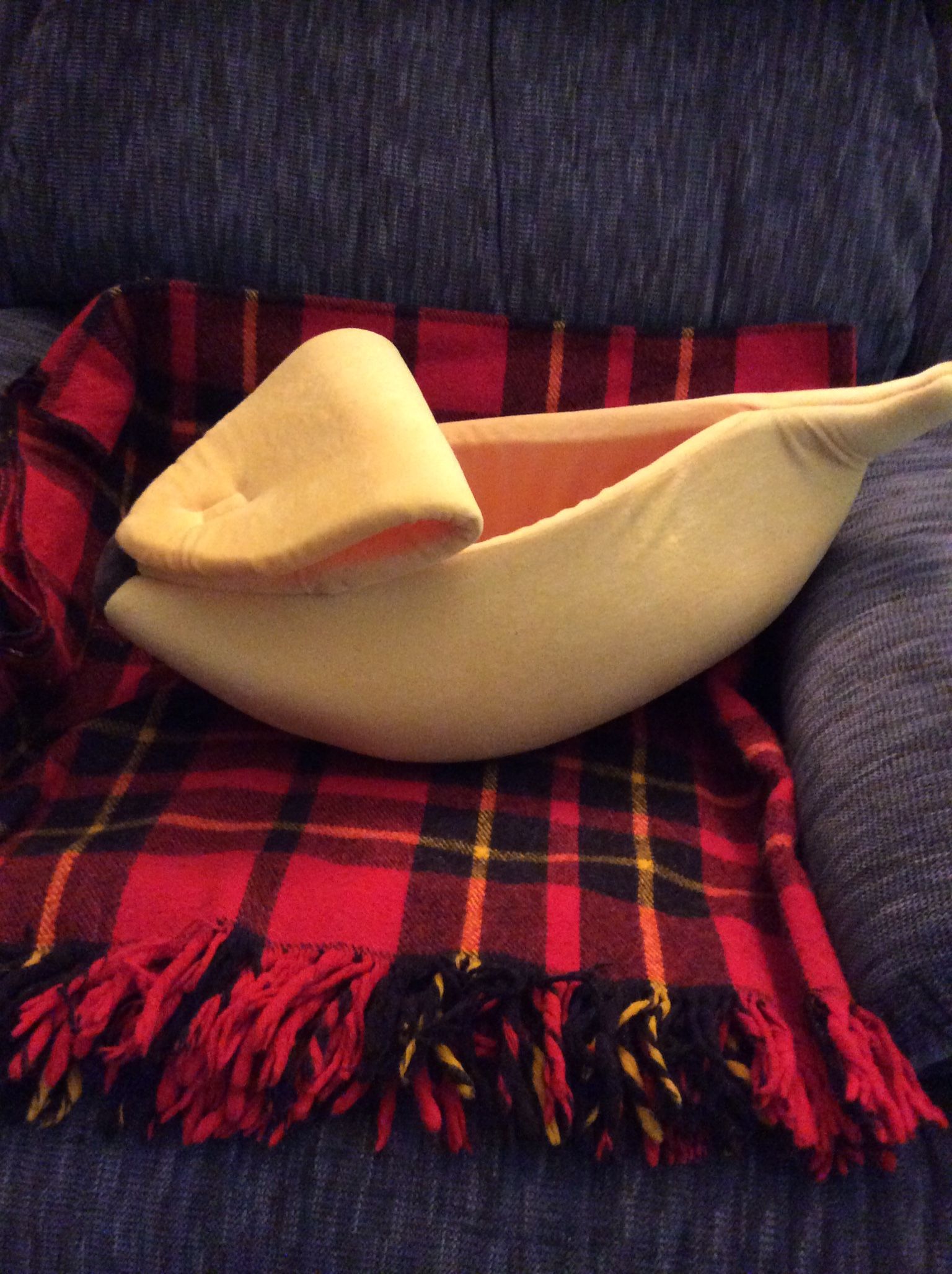 Kitten Banana Bed