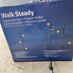 Walker and cane combo
