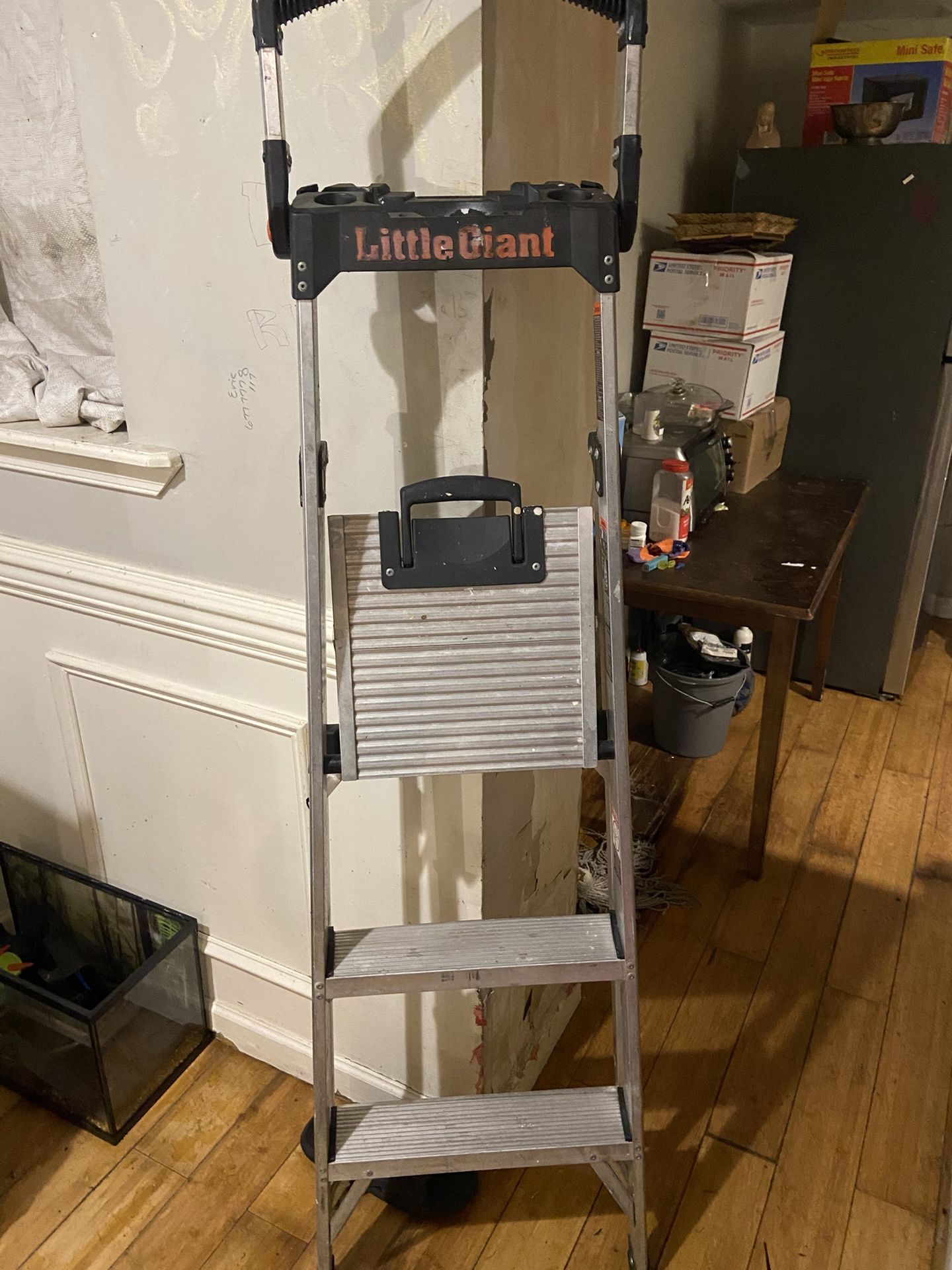 Little Giant Ladder 