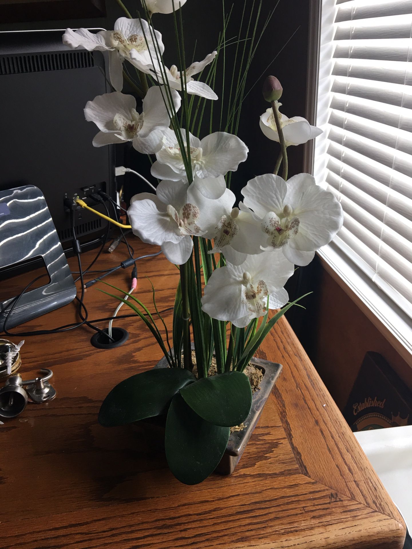 Orchids In Ceramic Pot