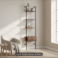 ladder Bookcase With Door