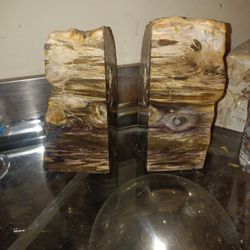 Petrified Wood