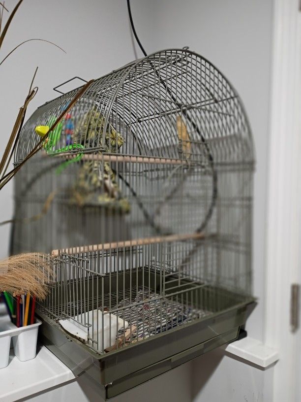 Cage for Small Birds