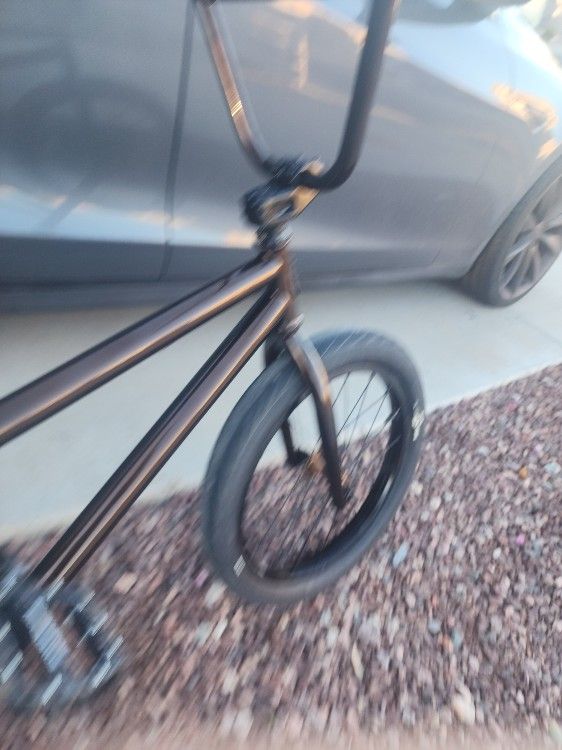 2024 STLN SINNER XLT