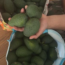50¢ Avocados 