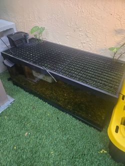 20 Gallons (long) fish tank