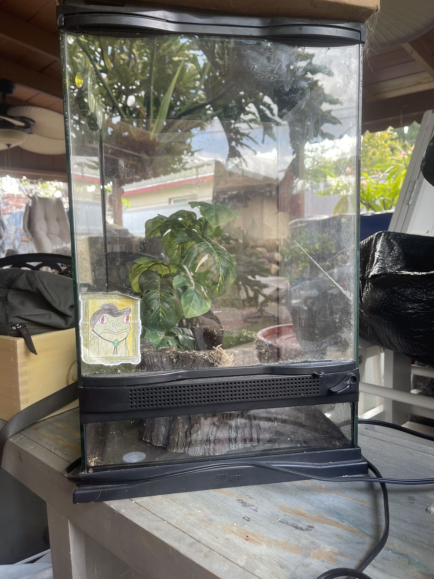 20 Gallon Tank