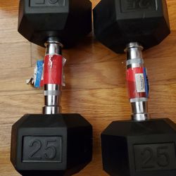 Weights; 25 lb dumbbell; new- $95