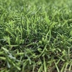 Snow Artificial Grass - Per Square Feet 
