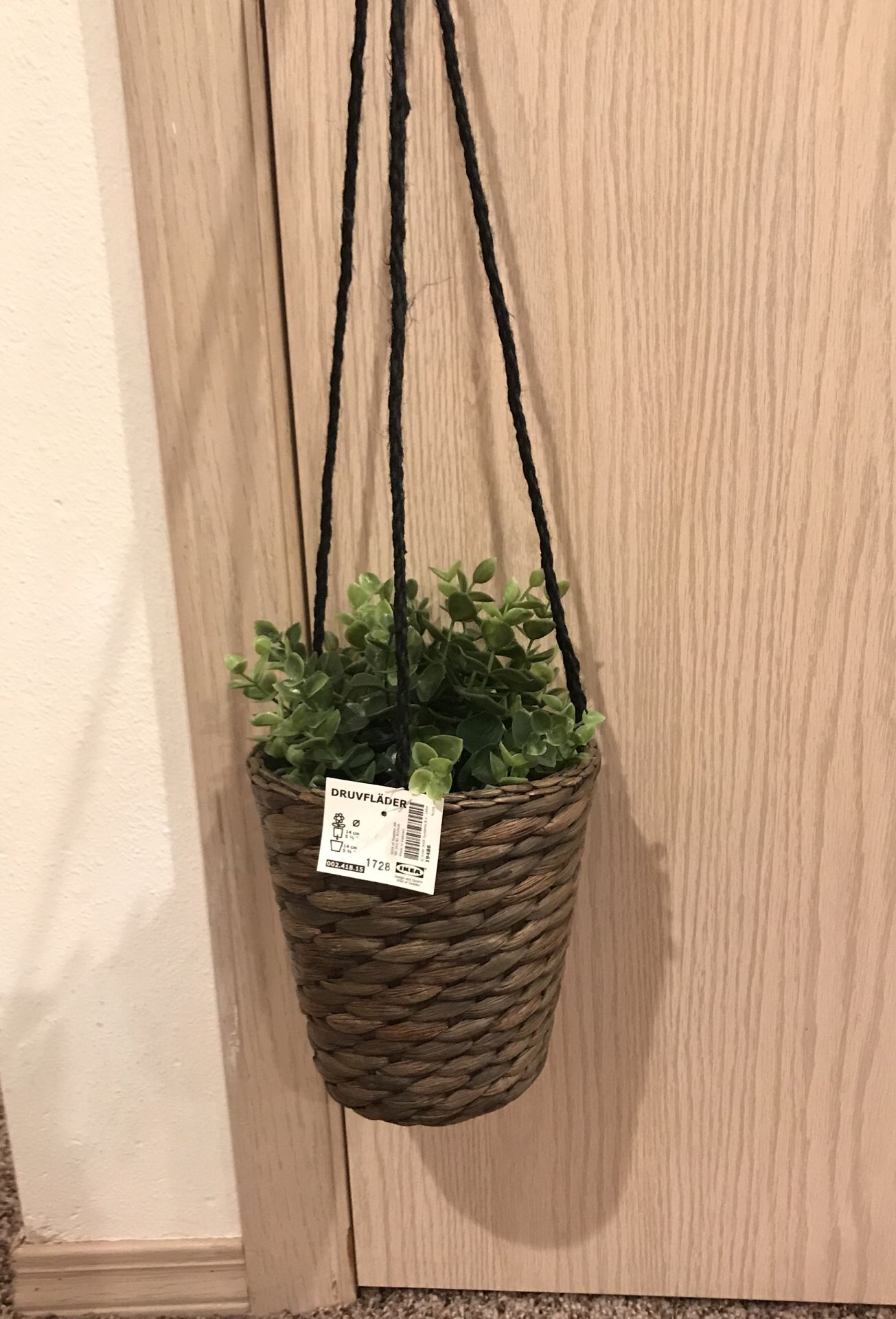 IKEA hanging plant basket with plant