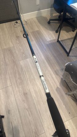 Daiwa D Wave 8 ft