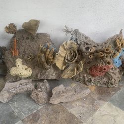 Fish Tank Decorations 