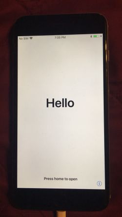 iPhone 6 (iCloud locked)