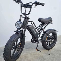 #1000W Adult Electric Bike#