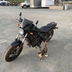 2019 honda rebel