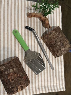 Reptile Feeding Tongs,  Cleaning Scooper, 2 Wooden Tunnels, Small Plastic Plant Decor