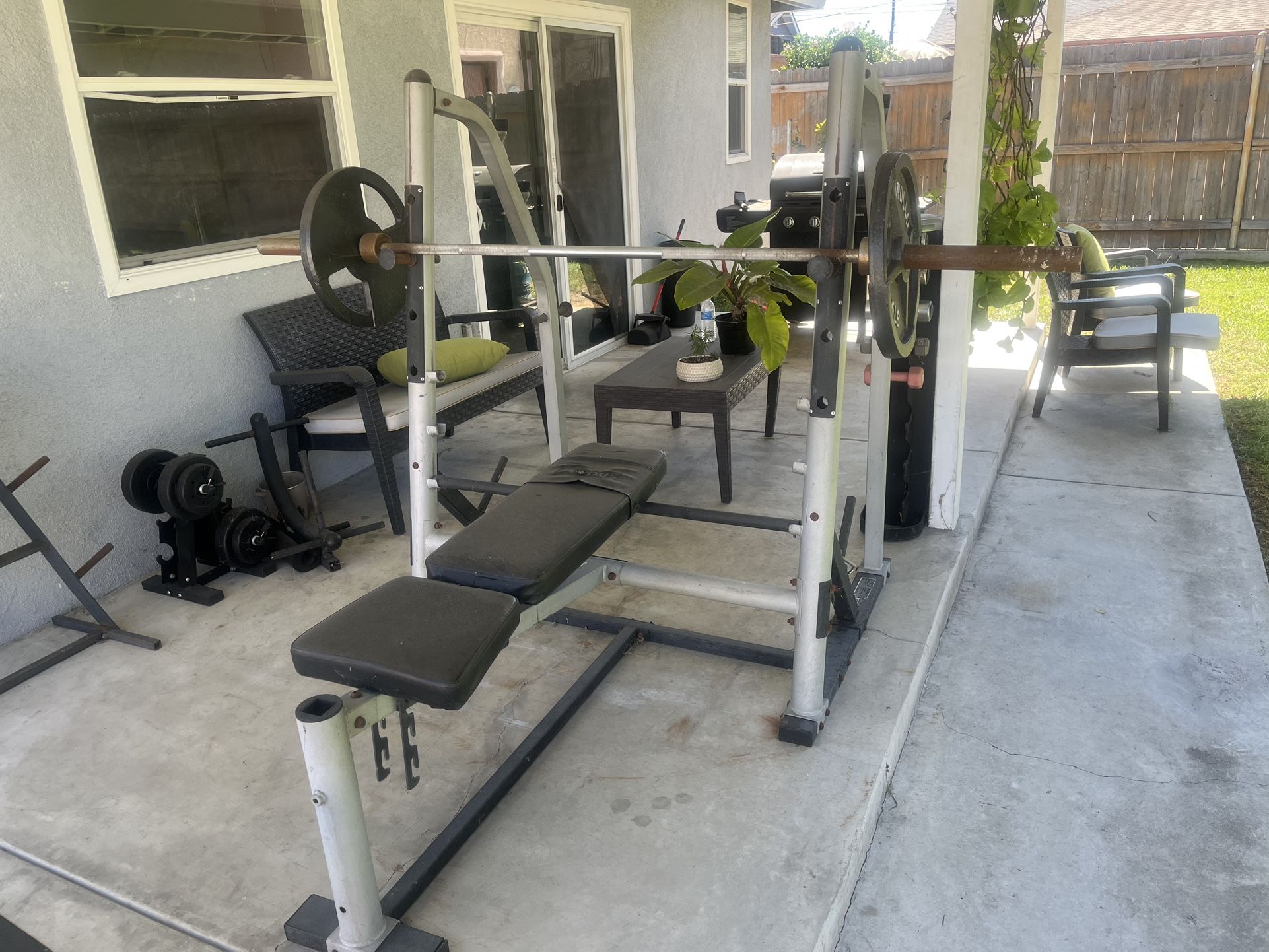 Bench Press And Squat Rack