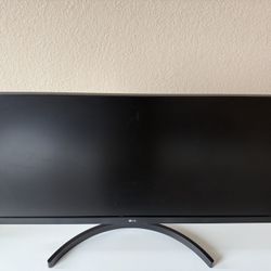 27” Lg Gaming Monitor 