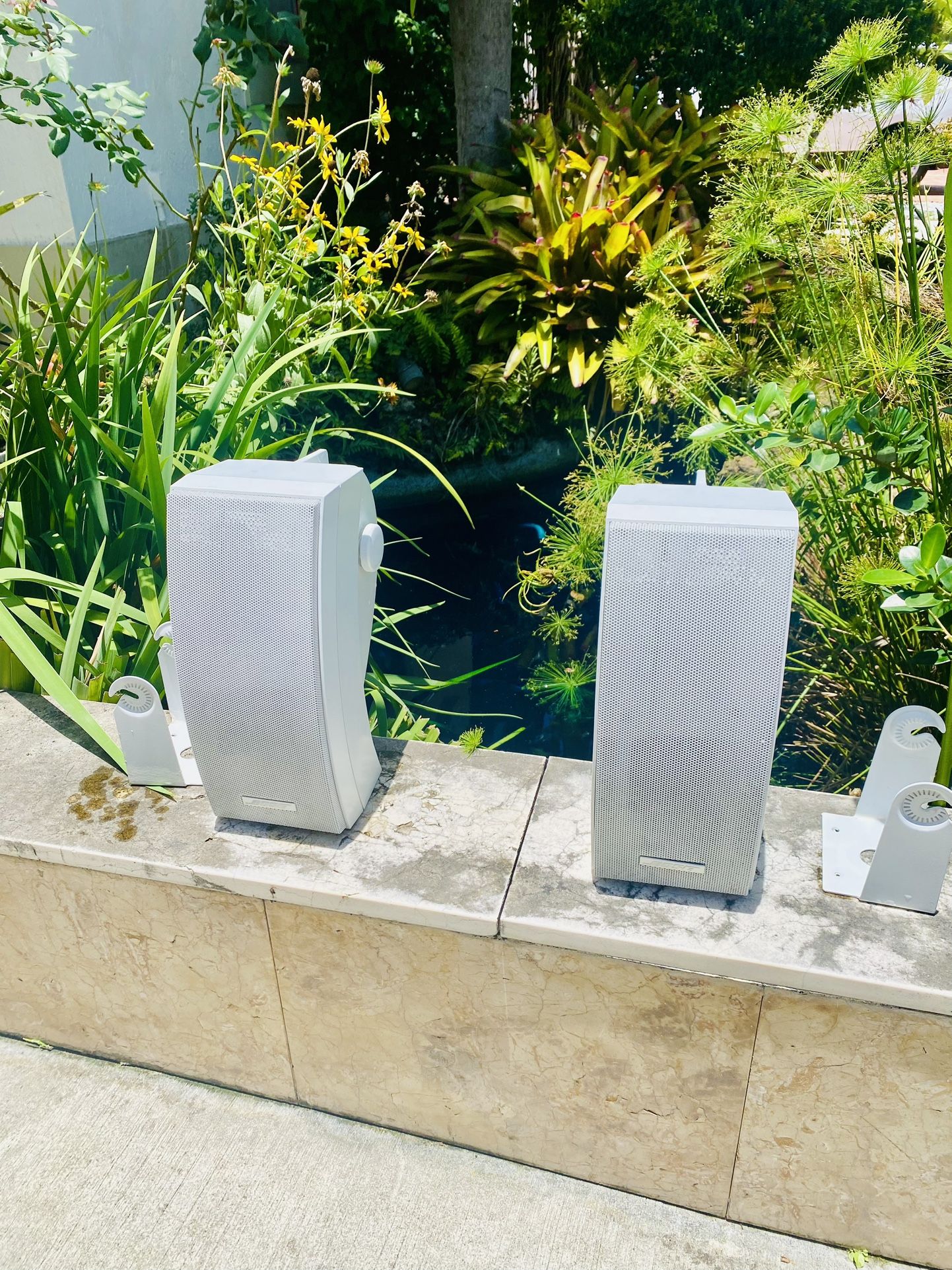 Bose 251 Speakers