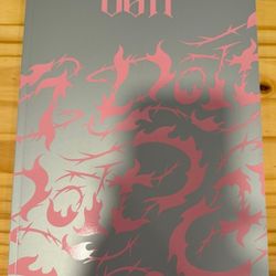 Stray kids do it album with all inclusions included