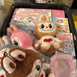 Box Full Of Labubu