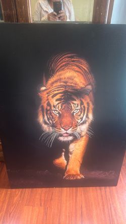 Frame decor tiger
