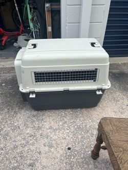 Large dog kennel