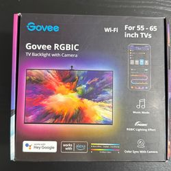 Govee RGBIC TV backlight with camera