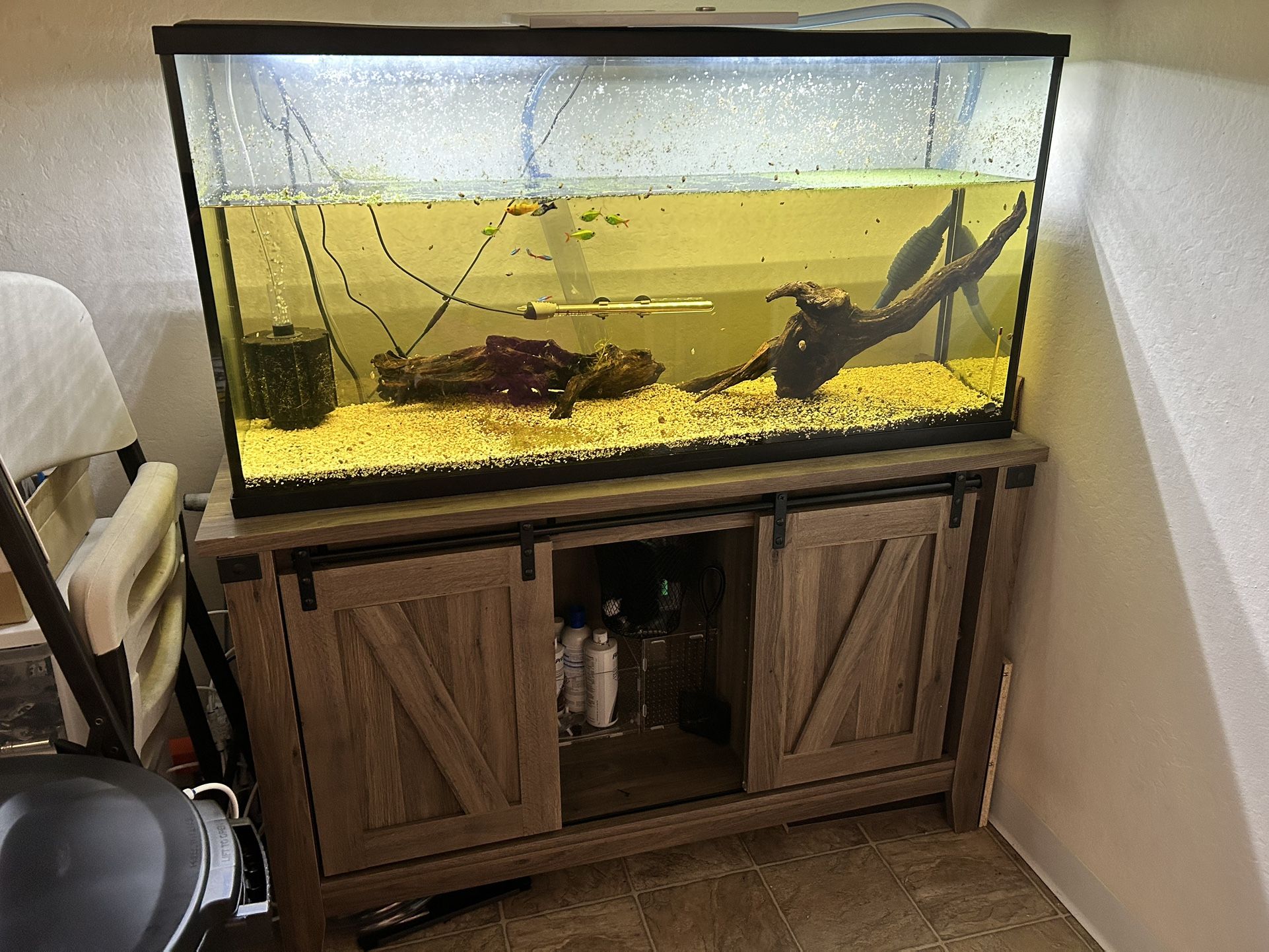 Fish Tank