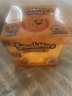 Cheese squishy brand new