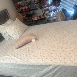 Bed, Box Spring And Mattress For Sale