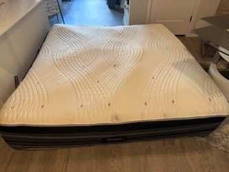 Free King Mattresses