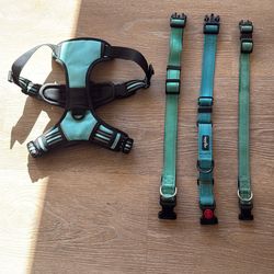 Dog Harnesses