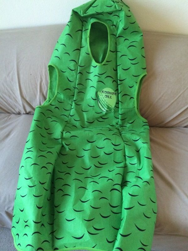 Kosher Dill Pickle costume