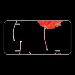License Plate Novelty Car Front Aspens Aspen Leaves Fall Autumn Leaf