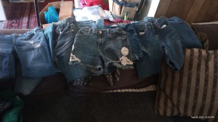 Lot Of Seven Pairs Of Size 10/12 Girls Jeans