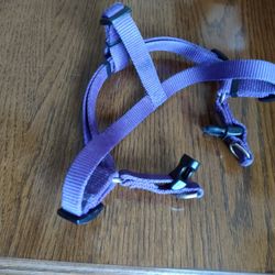 Purple Dog Harness Small