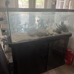 55 Gallon Fish Tank 
