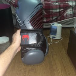 Venum Boxing Gloves