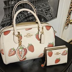 Coach Bag And Wallet 