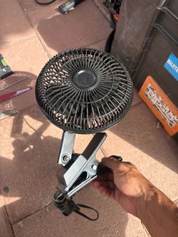 Fan