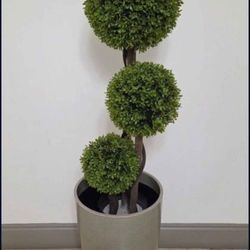 *** NEW LOW PRICE *** Faux Boxwood Topiary in a 21in Light Green Resin Planter @ Lasting Creations