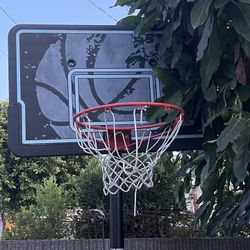Basketball court