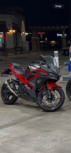 2024 Ninja Kawasaki 500SE (Red and Black) Racing Edition