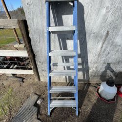 6ft Tall Ladder 