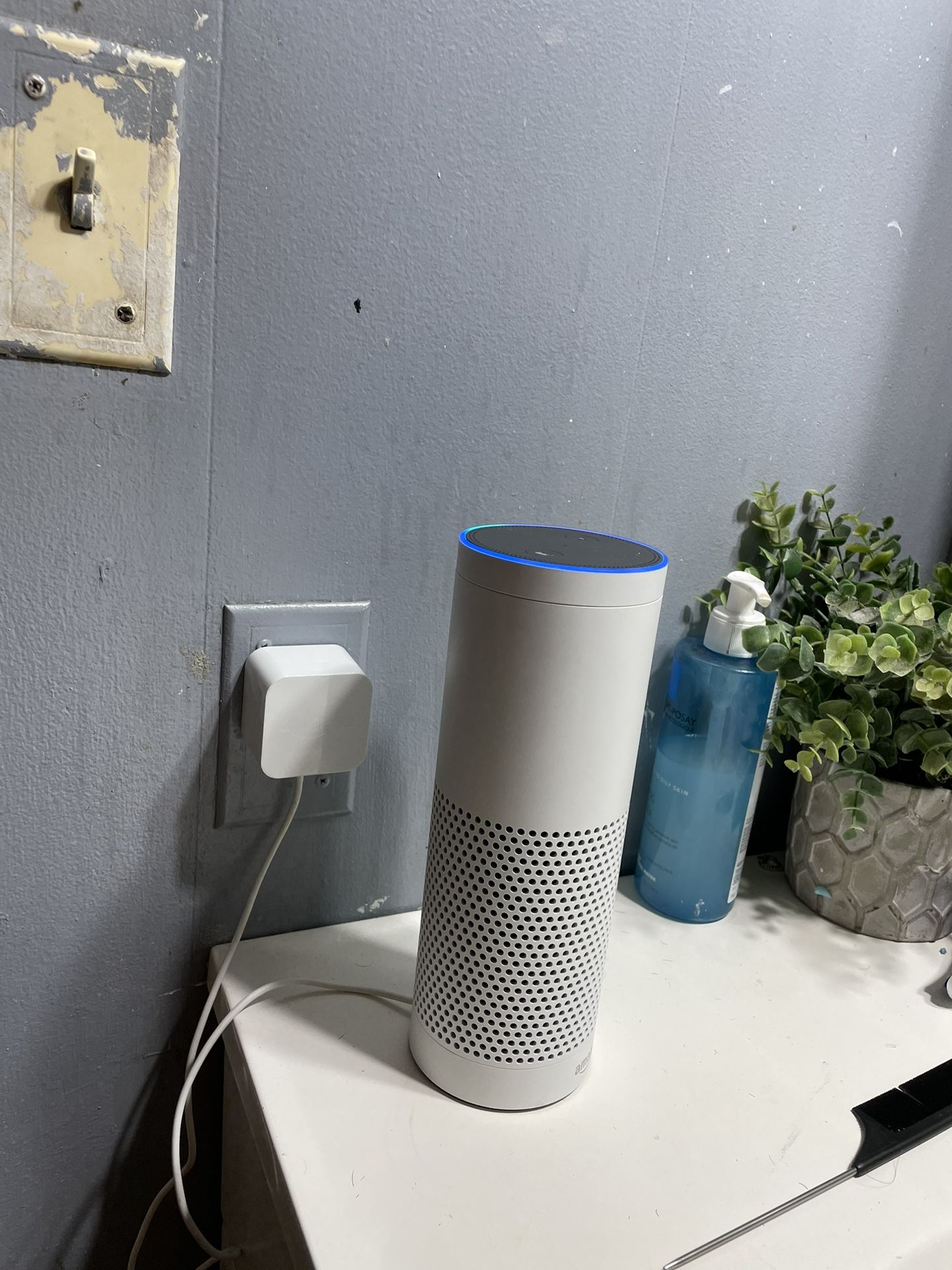 Speaker