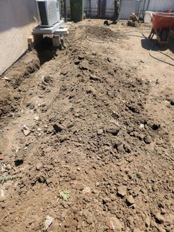 Dirt free clean dirt