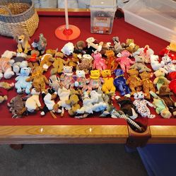 Beanie Baby Collection
