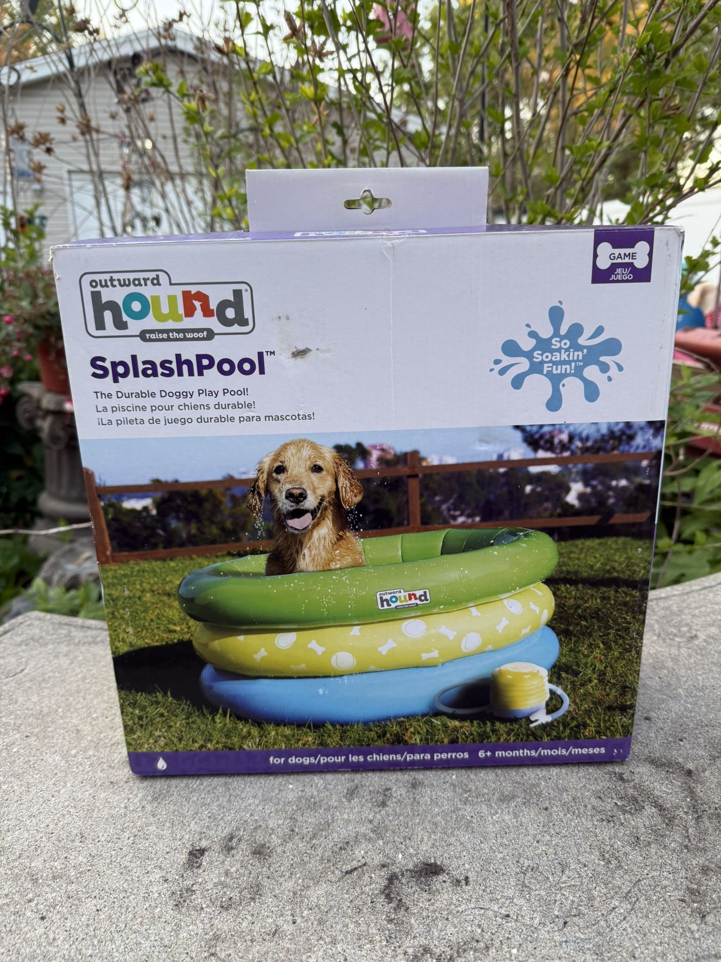 Outward Hound Splash Pool