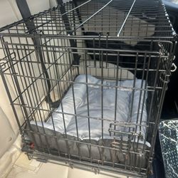 Small Dog Crate